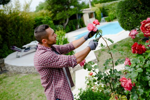 Professional garden clearance service workers in Wandsworth