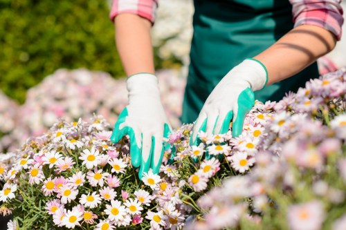 Professional landscaper working on a garden in Wandsworth