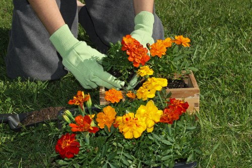 Eco-friendly lawn care practices in Wandsworth