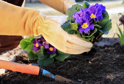 Sorting garden waste into separate containers at a green waste collection point