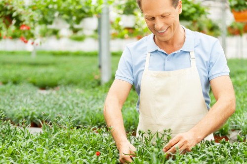 Professional gardener trimming hedges