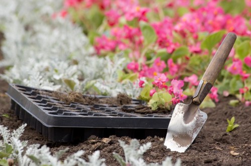 Professional landscape gardener working on a design
