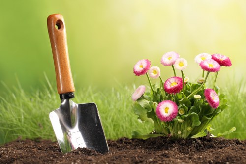 Healthy and well-maintained garden hedges