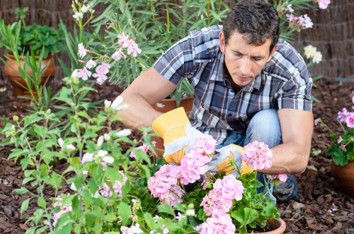 Gardening team working in a busy high-street frontage