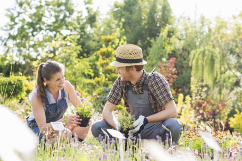 Professional gardeners tending plants in Wandsworth